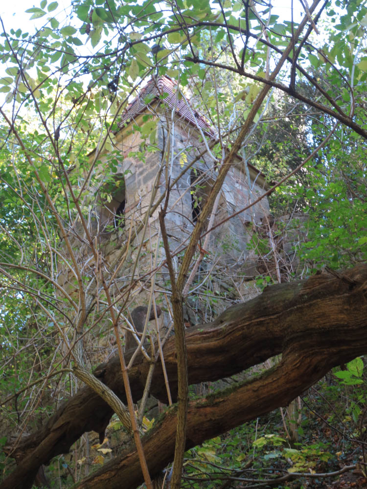 Die Rückkehr des inneren Sehens