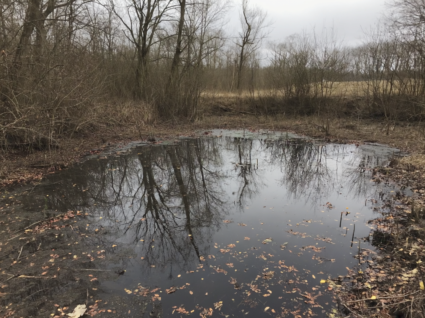 Am trüben Teich- Über die Menschheit im zweiten Maschinenzeitalter
